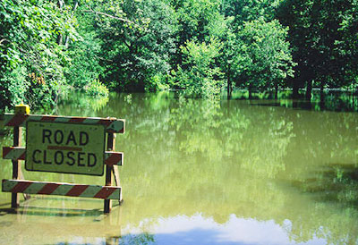 Emerging Risks